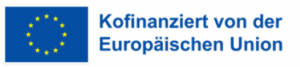 EU logo with funding reference